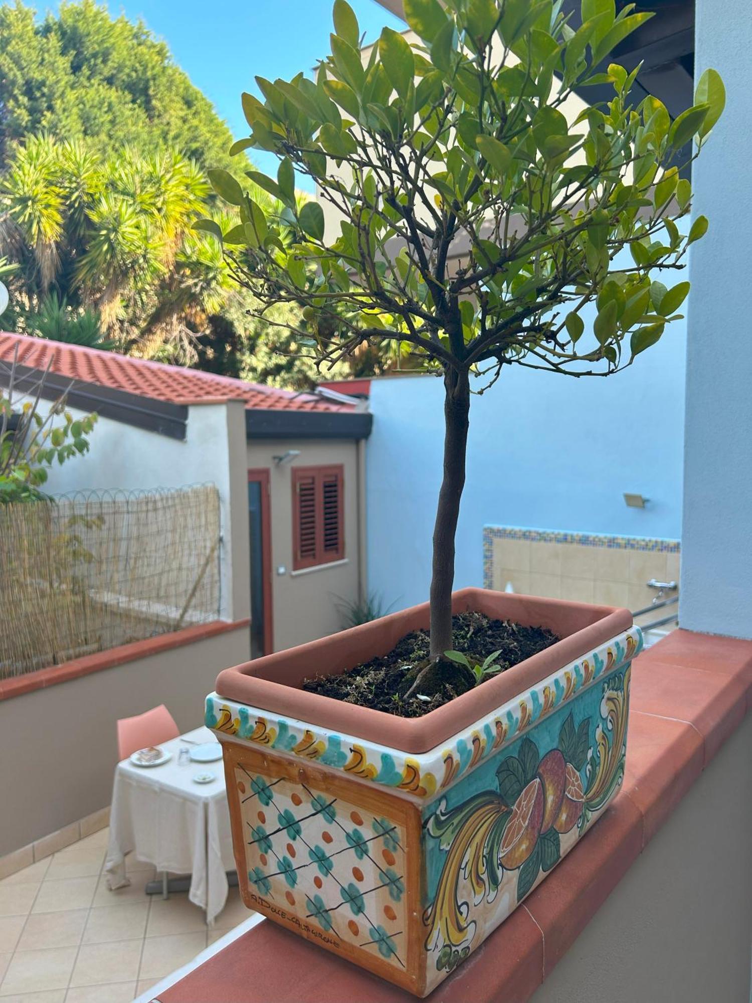 ジャルディーニ・ナクソス La Piazzetta Bed & Breakfast エクステリア 写真