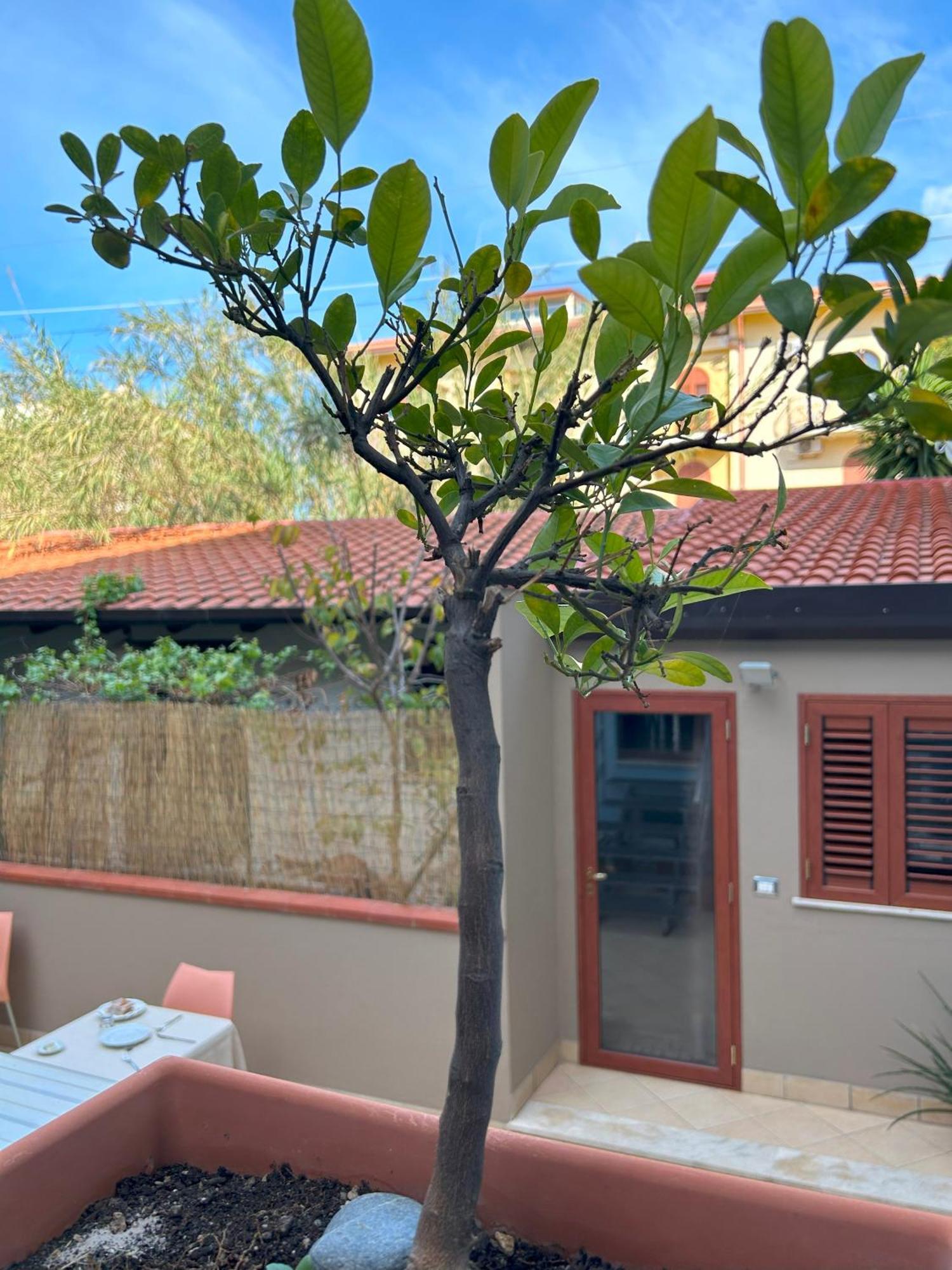 ジャルディーニ・ナクソス La Piazzetta Bed & Breakfast エクステリア 写真